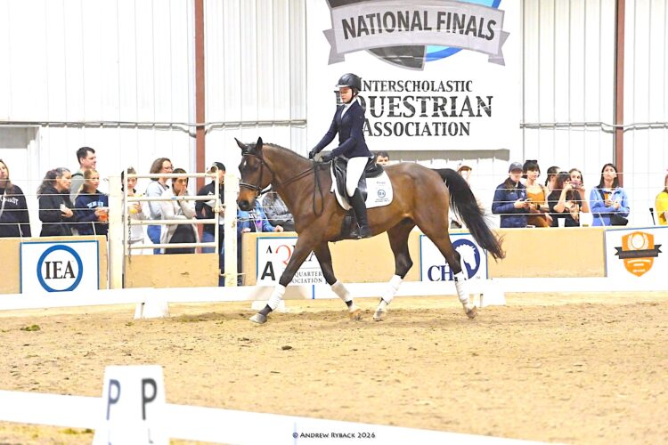 Tyrone rider wins national title